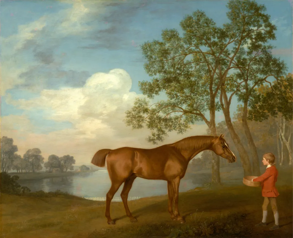 George Stubbs' Pumpkin with a Stable-lad